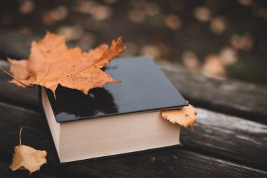 Parkta, sonbahar yaprakları dökülen ahşap bir masanın üzerinde.