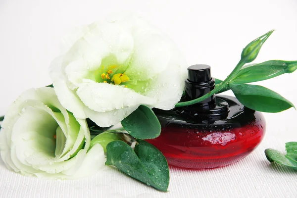 Wet perfume and flowers — Stock Photo, Image