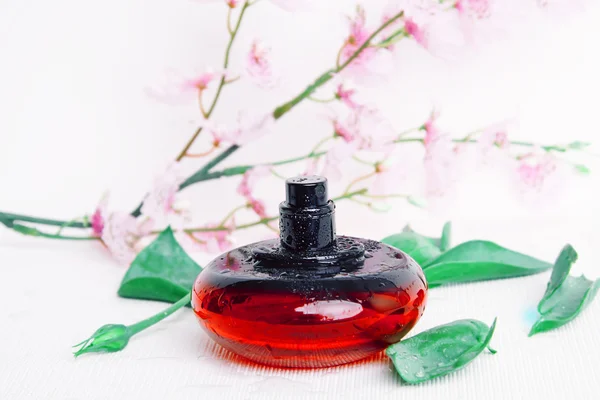 Parfum feminin și floare delicată — Fotografie, imagine de stoc