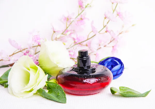 Kvinnliga parfym — Stockfoto