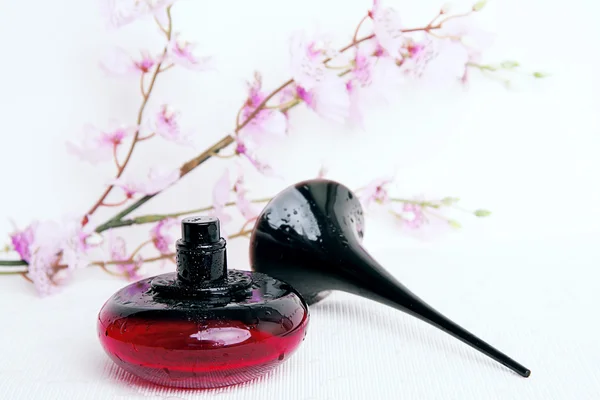 Perfume femenino — Foto de Stock