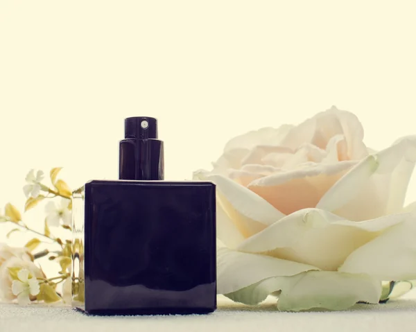 Czarny perfum butelek i biały kwiat — Zdjęcie stockowe