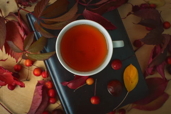 Tea, book and autumn leaves — Stock Photo, Image