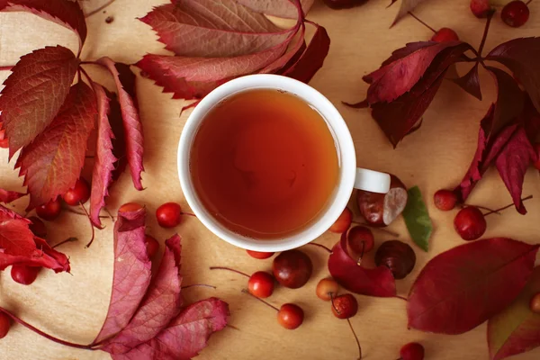 Herbst Stillleben mit Tasse Tee — Stockfoto