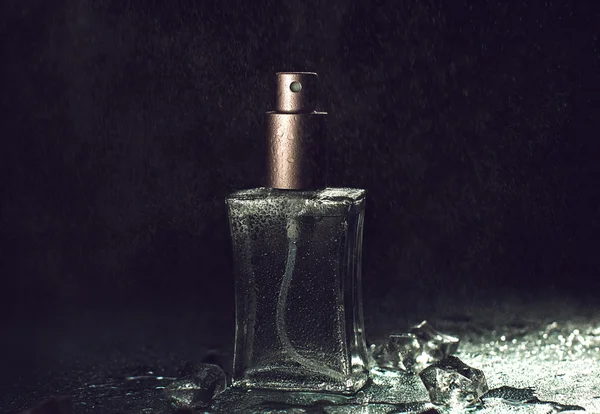 Feuchtes Parfüm — Stockfoto