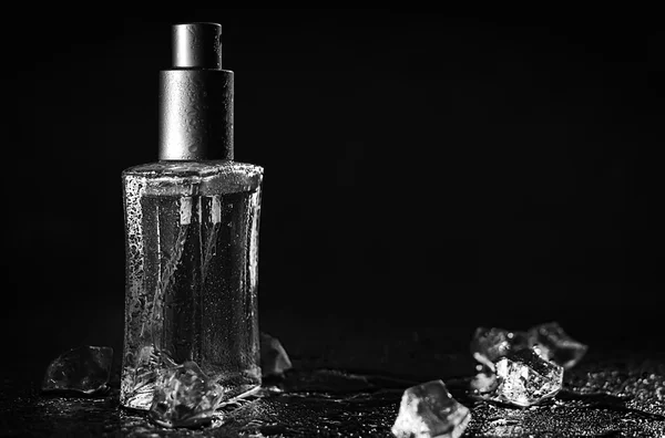 Un perfume elegante. Foto en blanco y negro — Foto de Stock