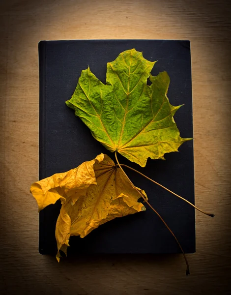 Book and yellow leaves — Stock Photo, Image