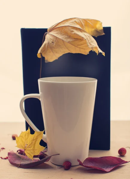 Horký čaj v podzimním čase — Stock fotografie