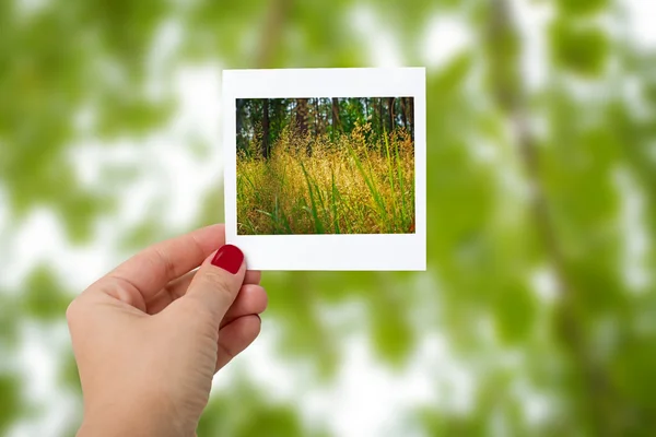 Dívka ruka drží instantní Fotografie přírody krajiny, se zaměřují na ha — Stock fotografie