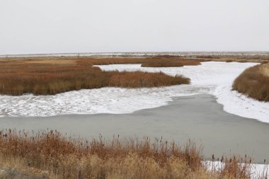 Yeşil Nehirde Kış, Seedskadee Ulusal Vahşi Yaşam Sığınağı, Wyoming