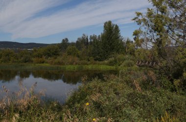 Keşif Adası Doğa Merkezi, Williams Gölü, British Columbia, Kanada