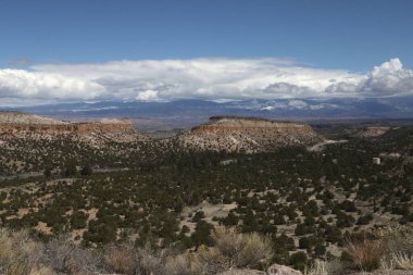 Los Alamos, New Mexico yakınlarındaki tipik manzara.