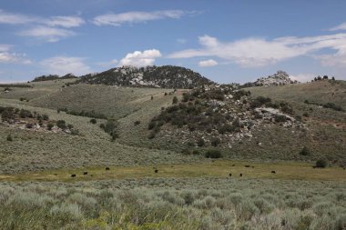  Kayalıklar Şehri Doğa Rezervi, Idaho