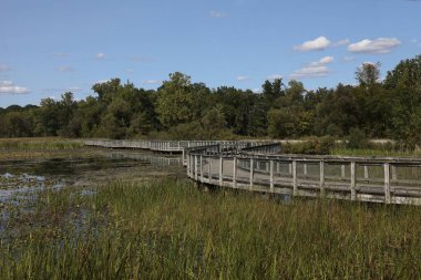 Kensington Metropark, Brighton, Michigan 'da sahil yolu.