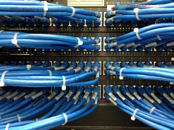 Nätverkskablar anslutna till switch - närbild av datacenter hårdvara — Stockfoto