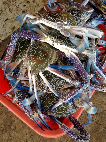 Ham mavi yengeç sepeti