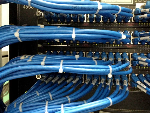 Network cables connected to switch - closeup of data center hardware — Stock Photo, Image