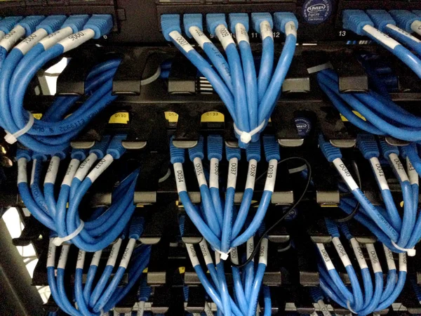 Network cables connected to switch - closeup of data center hardware — Stock Photo, Image