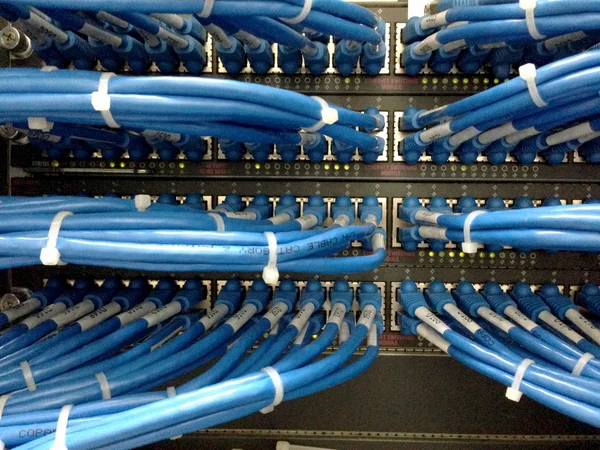 Network cables connected to switch - closeup of data center hardware — Stock Photo, Image