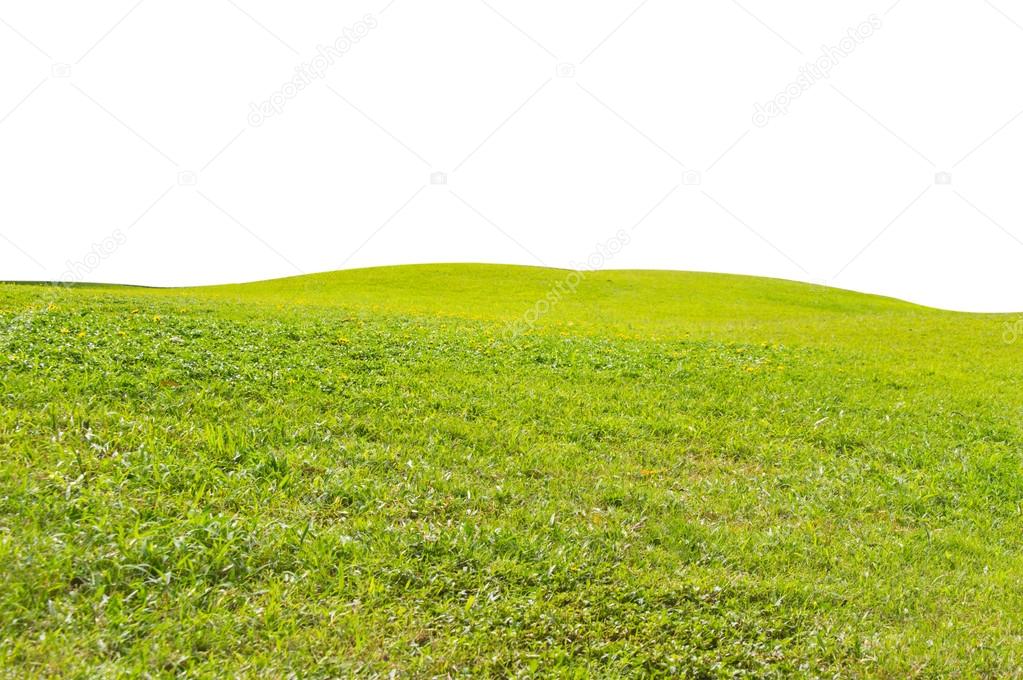 green field isolated