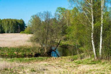 Küçük bir nehir, bahar yatay. 