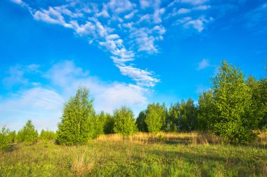manzara güzel bahar. 