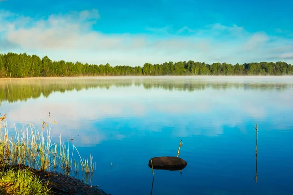 Zonnige ochtend aan het meer. — Stockfoto