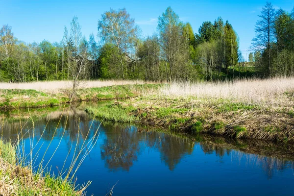 Wiosenny krajobraz z małą rzeką. — Zdjęcie stockowe