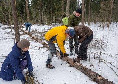 Turistler, Mart 1 ateş için odun ürün toplama ormanda