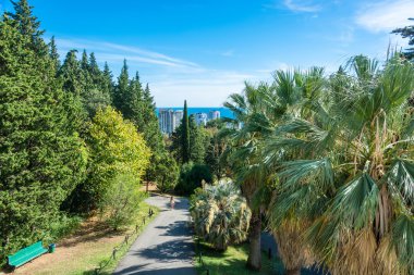 Sochi Park Botanik Bahçesi. 