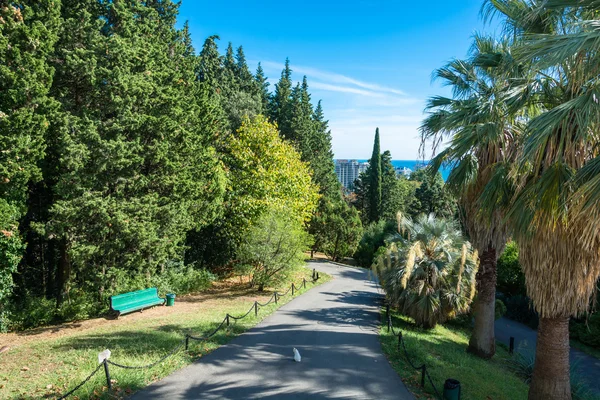 Sochi Park Botanik Bahçesi. — Stok fotoğraf