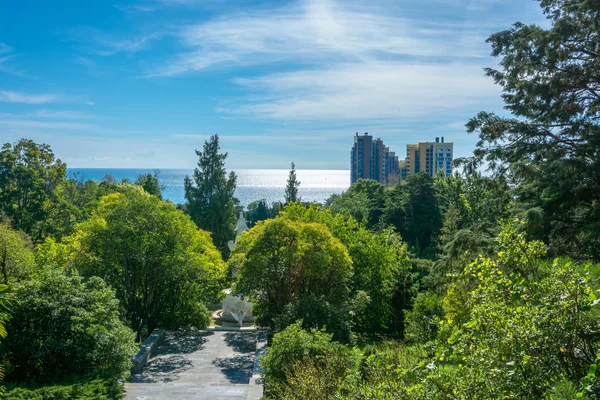 Sochi Park Botanik Bahçesi. — Stok fotoğraf