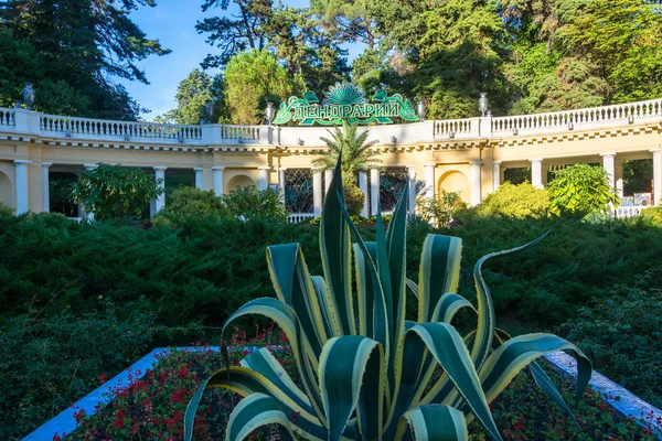 La entrada principal al Parque-el arboreto de Sochi, el 6 de octubre —  Fotos de Stock