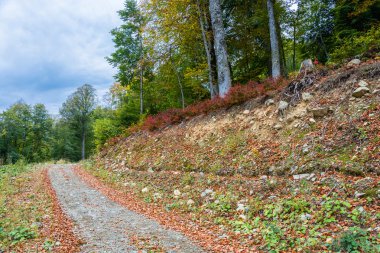 Dağın sonbahar manzara. 