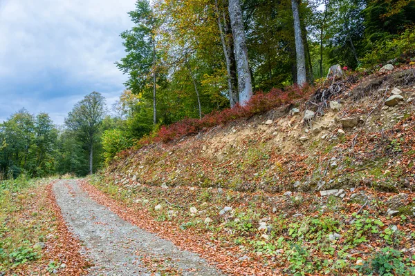 Montaña otoño paisaje . — Foto de Stock