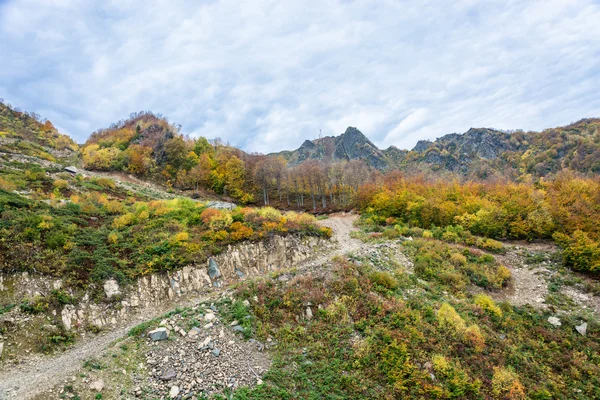 Dağın sonbahar manzara. 