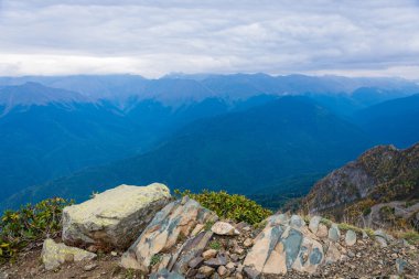 Dağın sonbahar manzara.