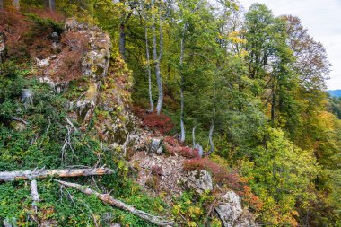 Dağın sonbahar manzara. 
