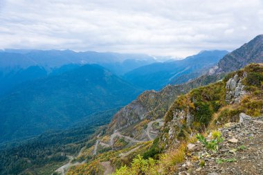 Dağın sonbahar manzara.