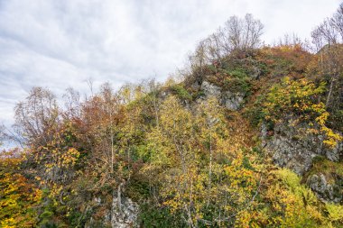 Dağın sonbahar manzara. 