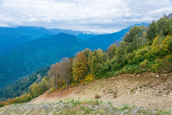 Mountain autumn landscape. \ — Stockfoto