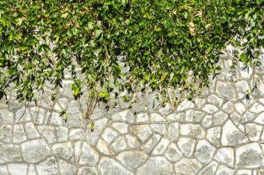 Taş duvarlar doku. 