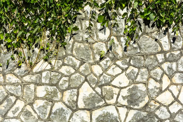 The texture of the stone walls. — Stock Photo, Image