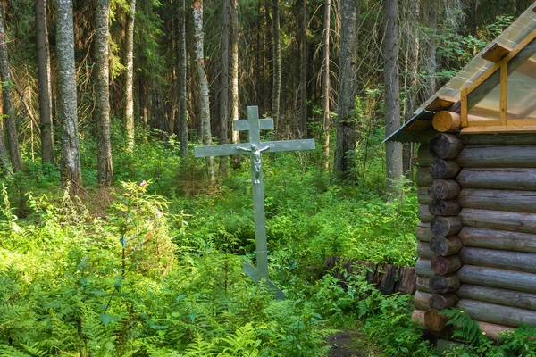 La source sainte de Saint Nicolas dans les fourrés de la forêt . — Photo