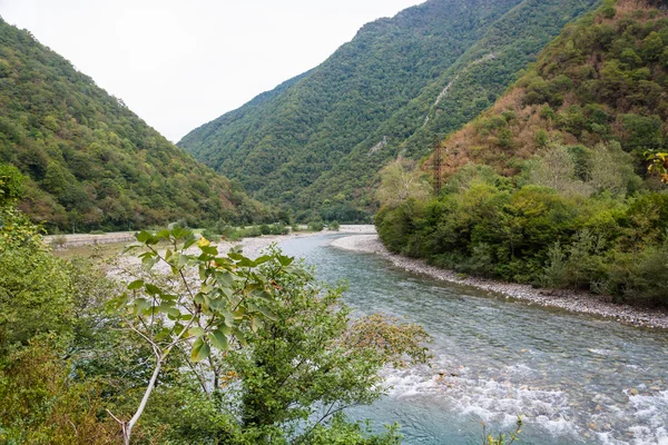 Rzeka Bzipi, Abchazja. — Zdjęcie stockowe
