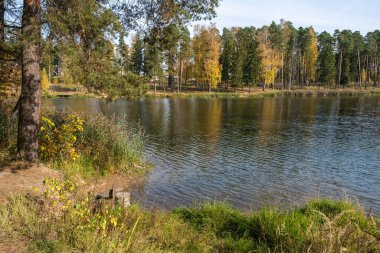 Kokhma, Ivanovo bölgesinde güneşli bir günde, sonbahar manzarası. 