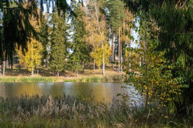 Kokhma, Ivanovo bölgesinde güneşli bir günde, sonbahar manzarası.