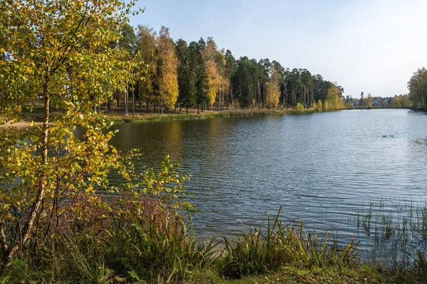 Autumn Landscape Pond Sunny Day City Kokhma Ivanovo Region — Stock Photo, Image