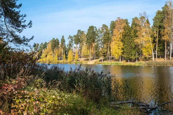 Podzimní Krajina Rybníkem Slunečného Dne Městě Kokhma Ivanovo — Stock fotografie
