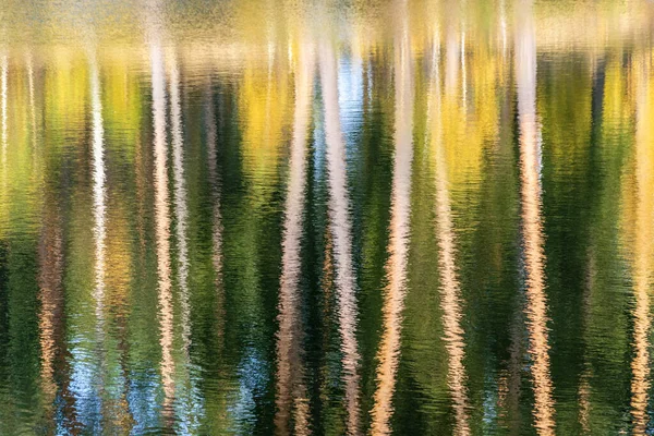 Fundo Abstrato Troncos Árvores Borrados Superfície Rio Dia Ensolarado Outono — Fotografia de Stock